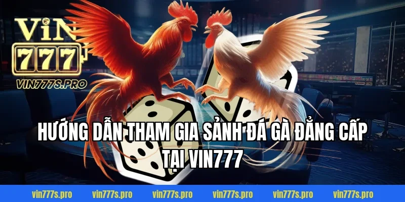 NHỮNG ĐÒN ĐÁ HIỂM CỦA GÀ CHỌI VIN777 KHIẾN ĐỐI THỦ GỤC NGAY 6 Hướng dẫn tham gia sảnh đá gà đẳng cấp tại VIN777